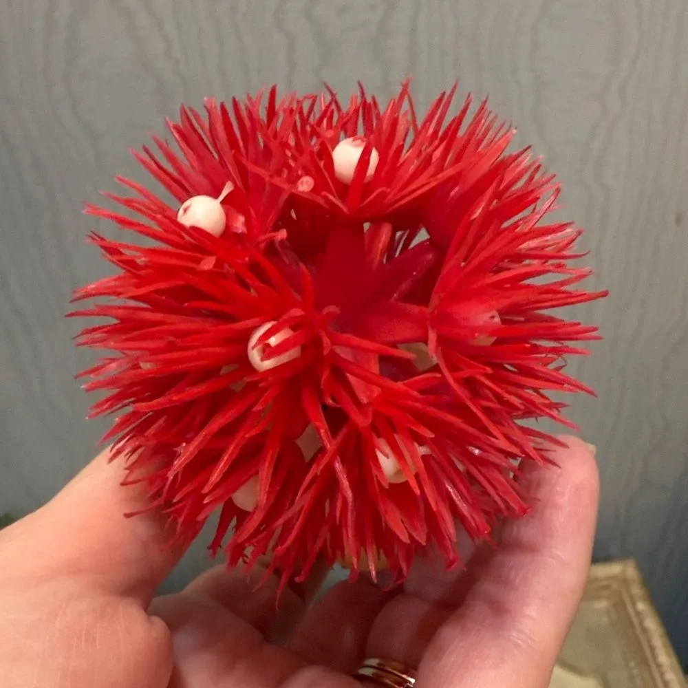 Mid Century 60s Santa Claus Christmas Ornament Plastic Head Porcupine Body VIDEO